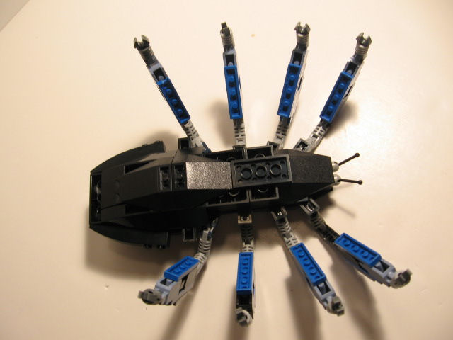 Upside Down Spider